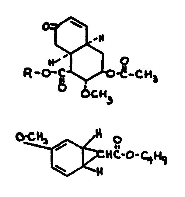 Image 1 for class 560 subclass 119