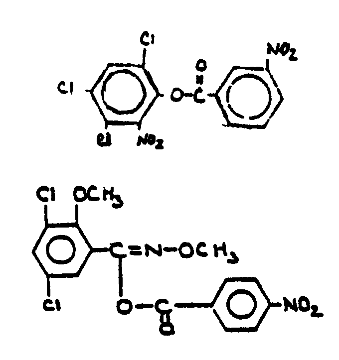 Image 1 for class 560 subclass 20