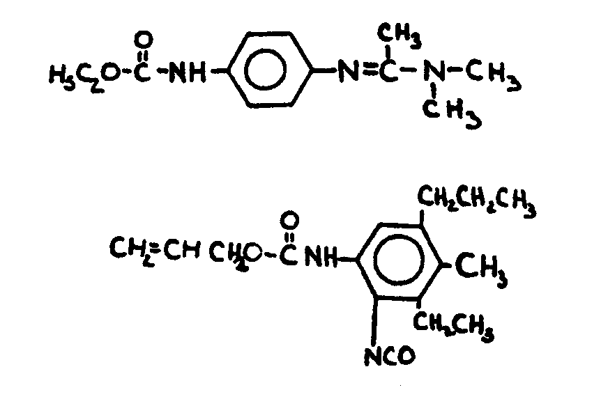 Image 1 for class 560 subclass 24