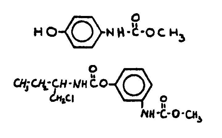 Image 1 for class 560 subclass 29