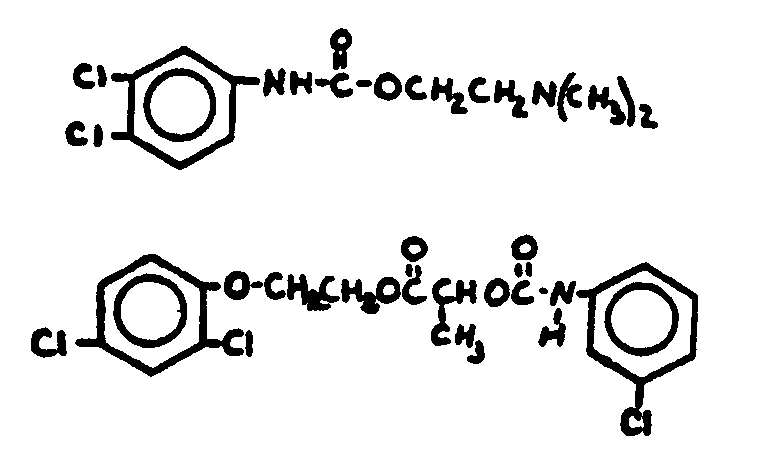 Image 1 for class 560 subclass 30