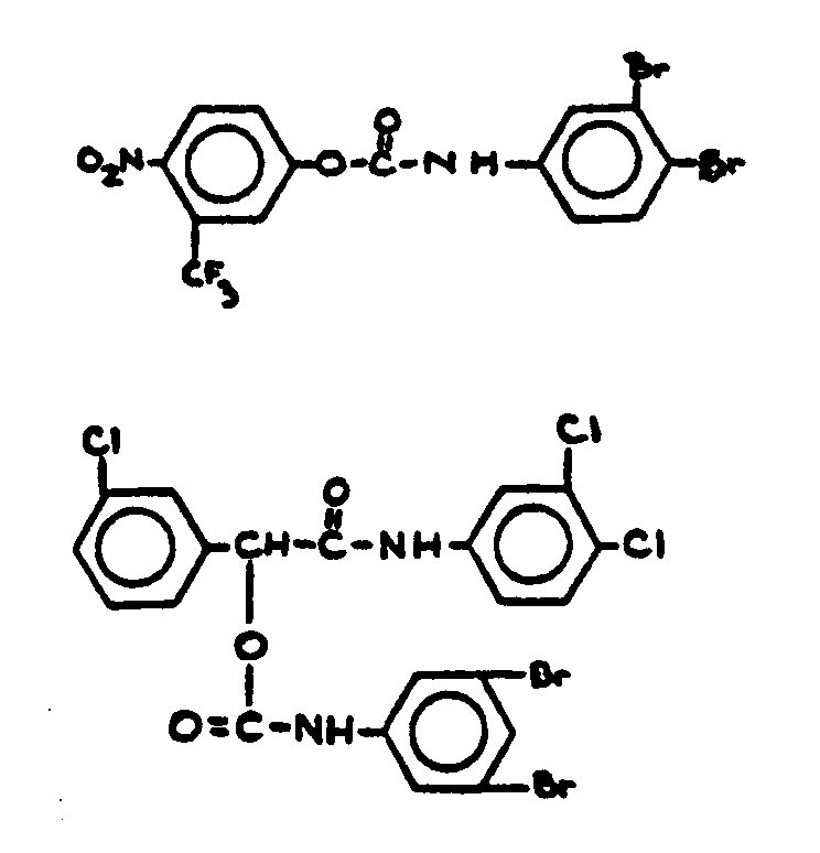 Image 1 for class 560 subclass 31