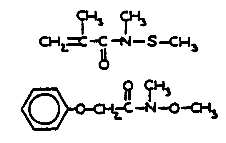 Image 1 for class 560 subclass 312