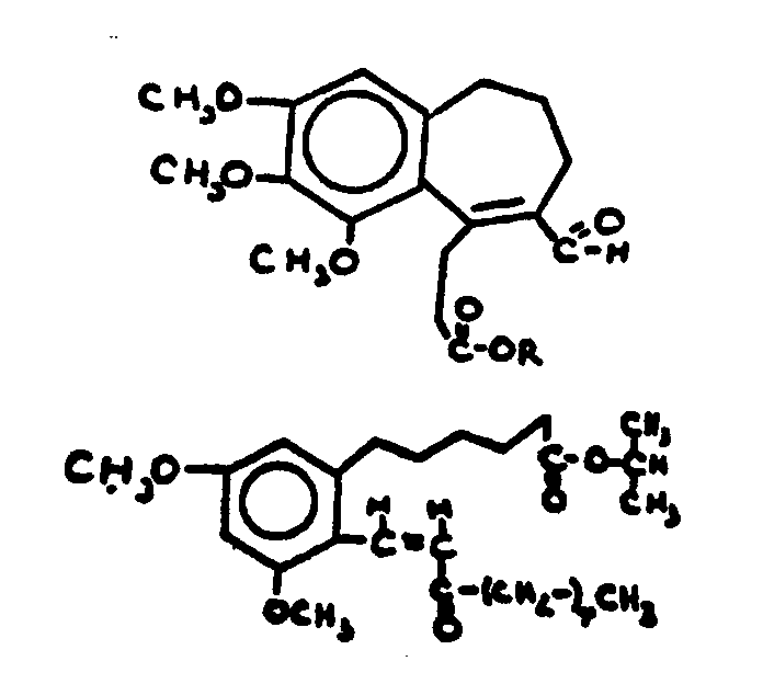 Image 1 for class 560 subclass 53