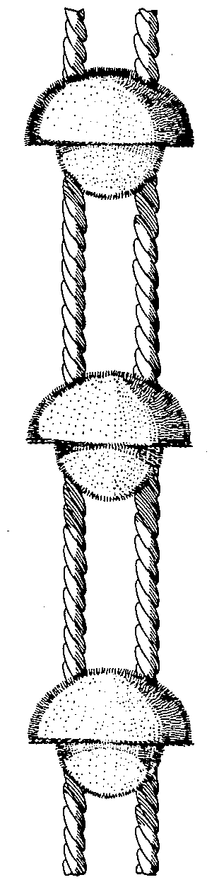 A typical example of a uni-direcional ornament.
