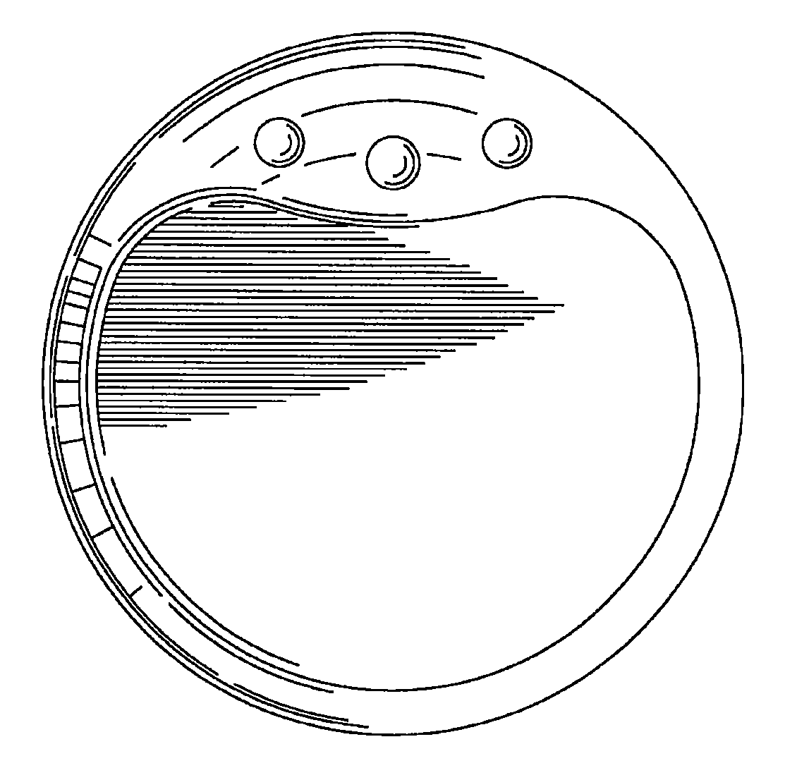 Example of a design for a food server   that shows bilateralsymmetry.
