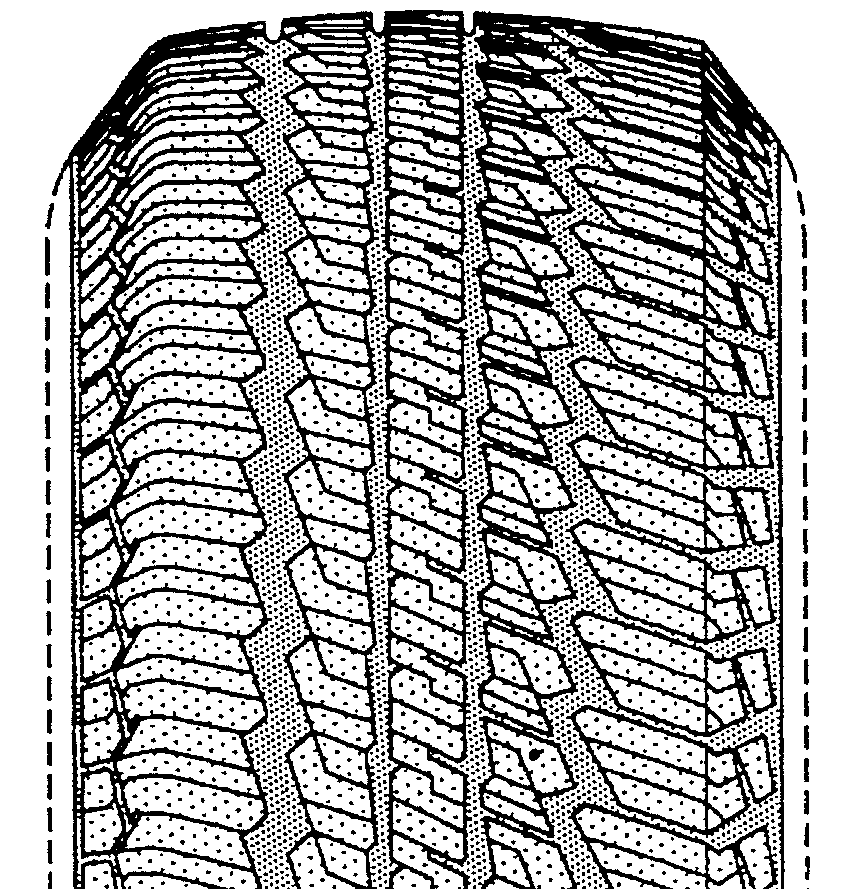 Example of uninterrupted circumferential rib fully transectedby sipe.
