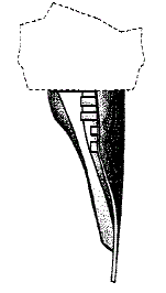 Image 1 for class D19 subclass 200