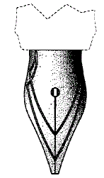 Image 2 for class D19 subclass 200